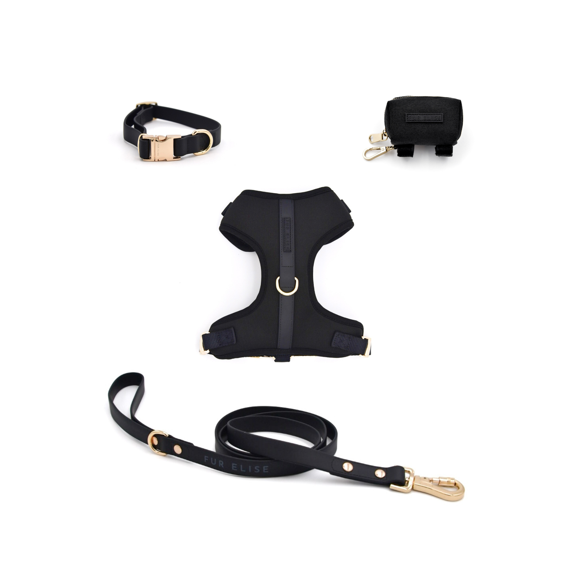 PetWell Essentials Dog Walk Set – Collar, Harness, Leash & Poo Pouch | Noir