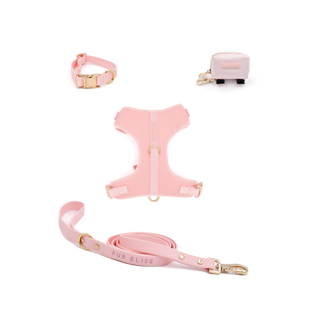 PetWell Essentials Dog Walk Set – Collar, Harness, Leash & Poo Pouch | Rose