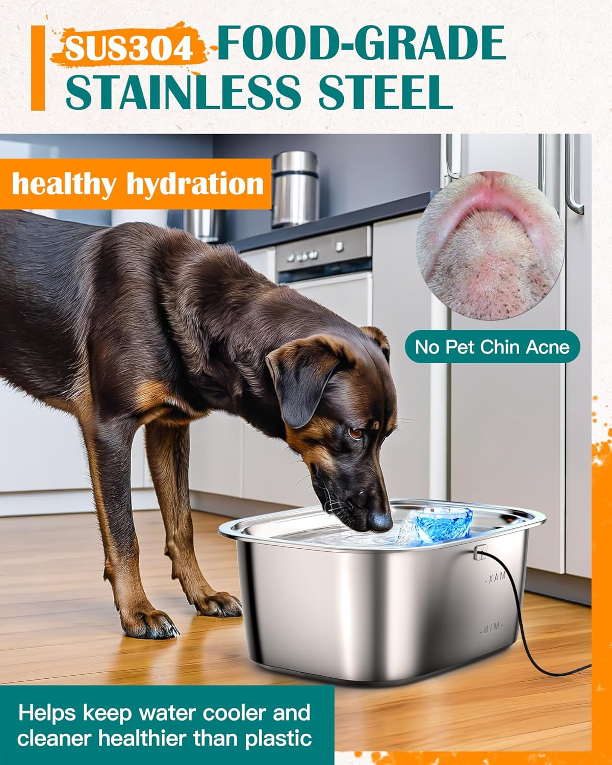 PetWell 3-Gallon Stainless Steel Dog Water Fountain – 7-Layer Filter, Low-Noise | Large Dogs & Multi-Pet Homes